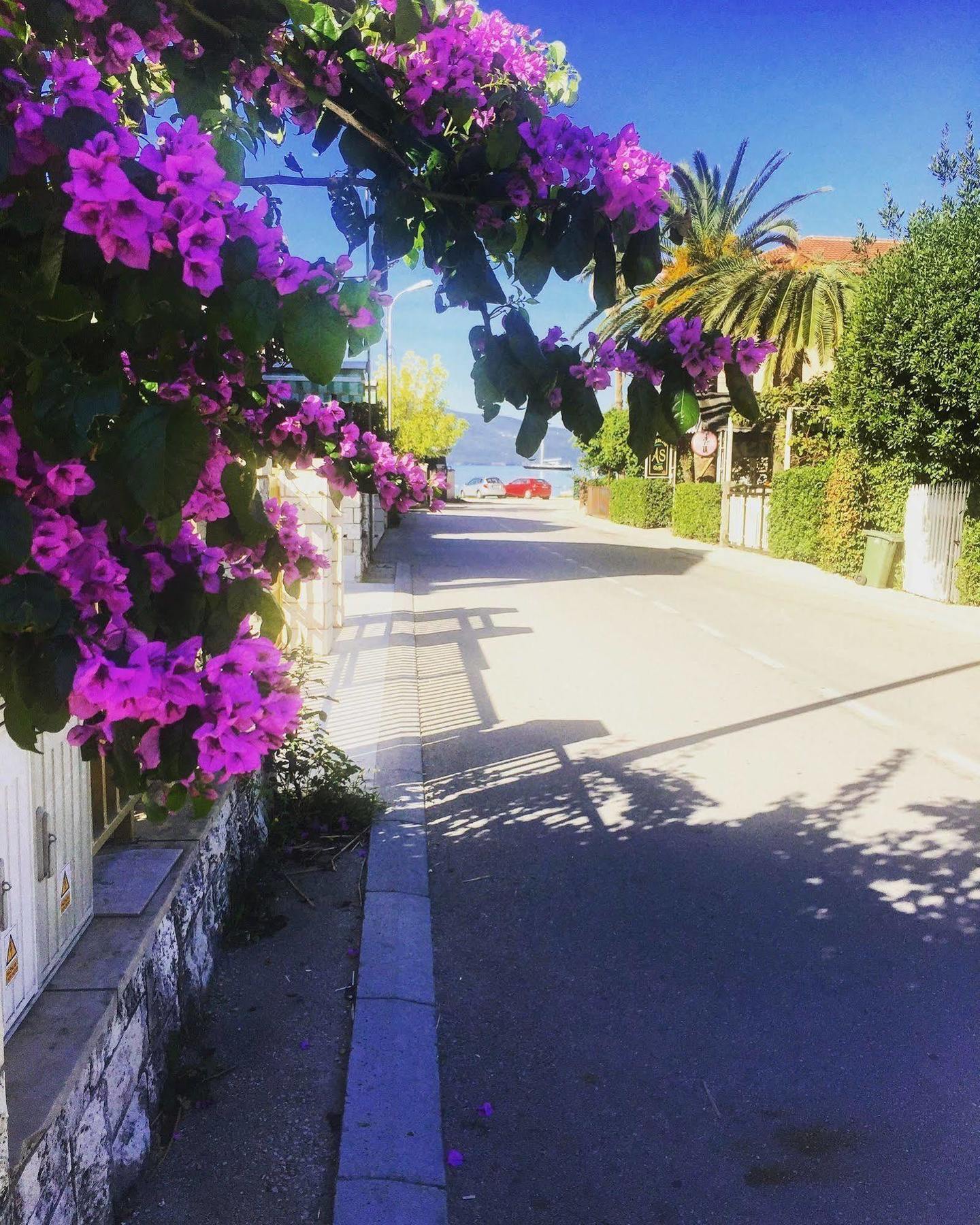 Hotel Splendido Bay Tivat Bagian luar foto